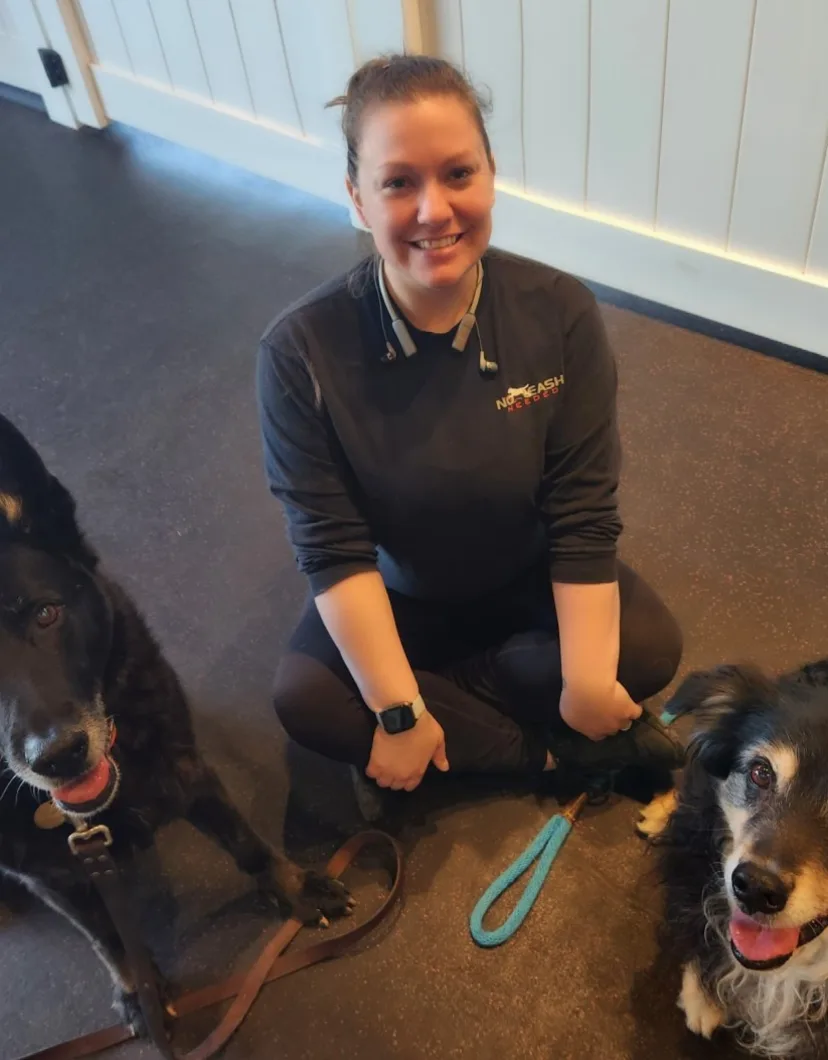 Amanda, trainer at No Leash Needed Rock Hill, sitting on the floor with two dogs
